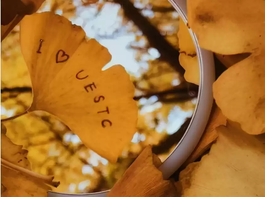 电子科学与技术 vs 电子信息工程:学姐终极解析,秒懂差异! 电子科学与技术 vs 电子信息工程:学姐终极解析,秒懂差异!