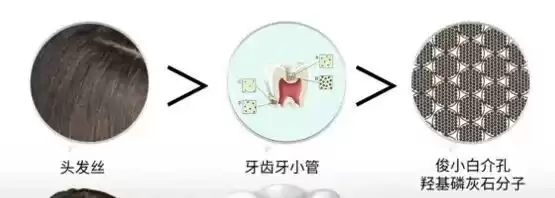 科技守护笑容革命：国家大奖助力牙齿重获新生！