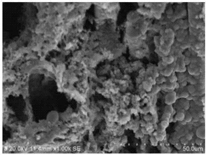 制造业颠覆者：可变压条宽度增材技术如何重塑工业未来？