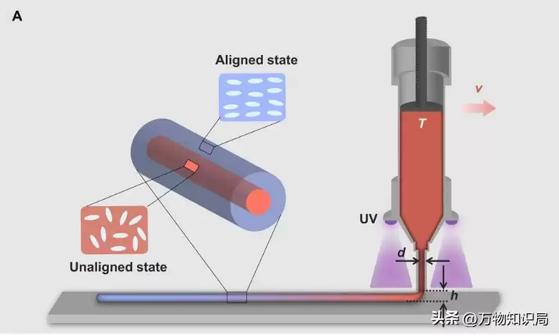 制造业颠覆者：可变压条宽度增材技术如何重塑工业未来？