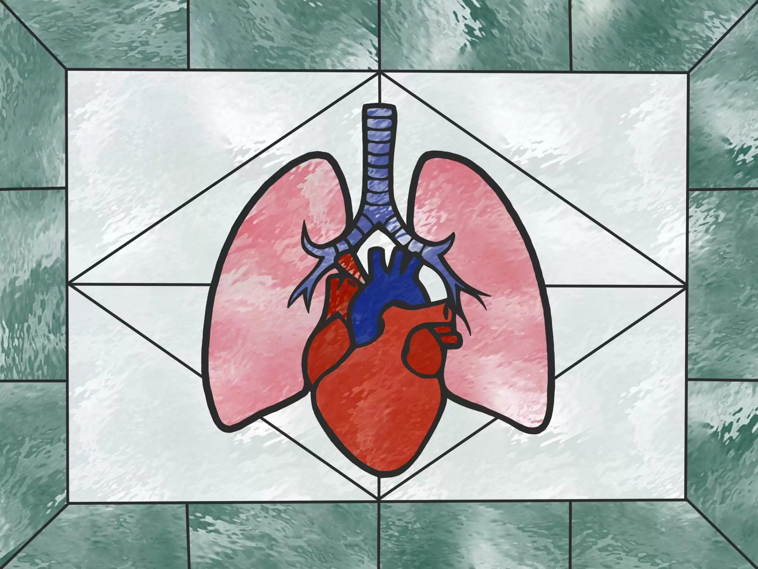 科学革命！人体冷冻技术百年难题破解，器官无裂纹冷冻时代开启