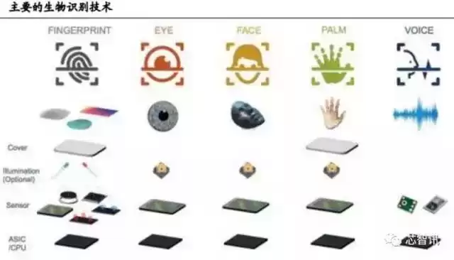 未来安全新纪元：六大生物识别技术终极对决！