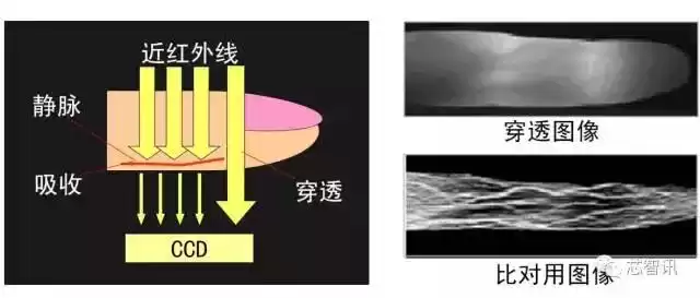 未来安全新纪元：六大生物识别技术终极对决！