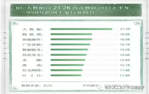引爆未来：大数据分析与高薪职业全攻略