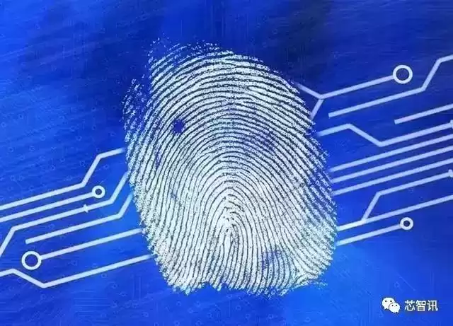 六大生物识别技术终极对决：谁将主宰你的数字身份？