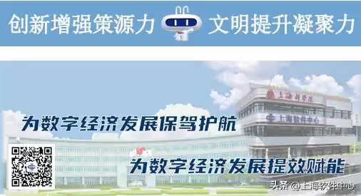 数据安全新纪元！上海软件中心2025博士后评审会引爆智能治理热潮