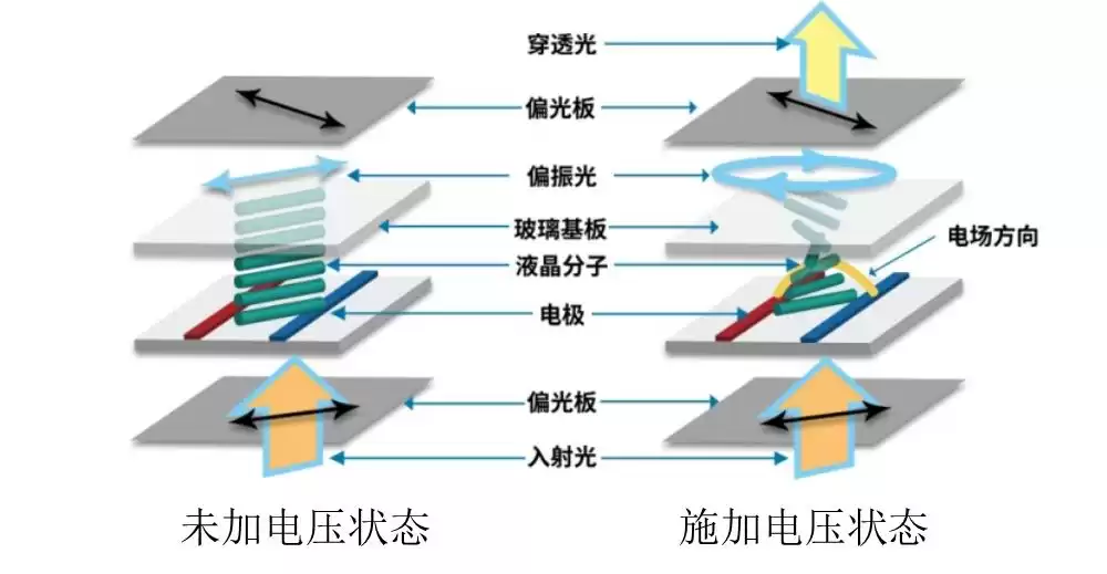 液晶显示奥秘:液态晶体如何重塑视觉世界 液晶显示奥秘:液态晶体如何重塑视觉世界