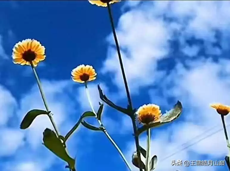 路由交换技术实战宝典：交换机核心知识全解析