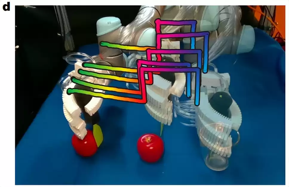 视觉革命！MIT团队仅凭摄像头让机器人“自学成才”，精准控制颠覆传统