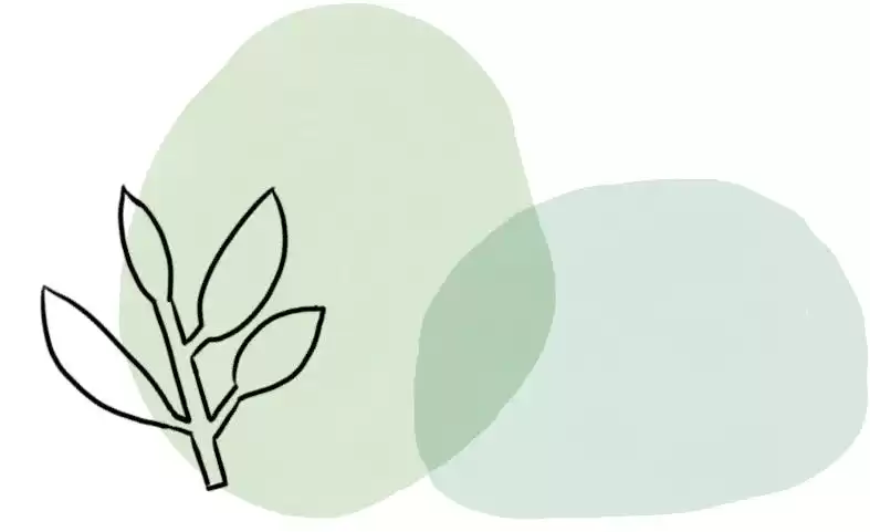 中国农业大学豪夺宝钢教育奖9项殊荣，特等奖震撼登场！