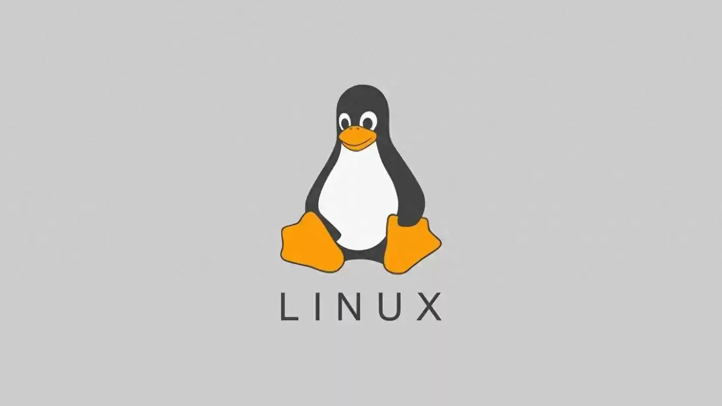 Linus Torvalds：代码革命如何重塑世界？认识“Linux 之父”