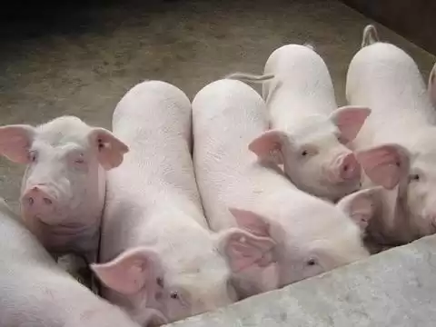 RFID技术全景扫描：六大核心应用场景，颠覆你的想象！