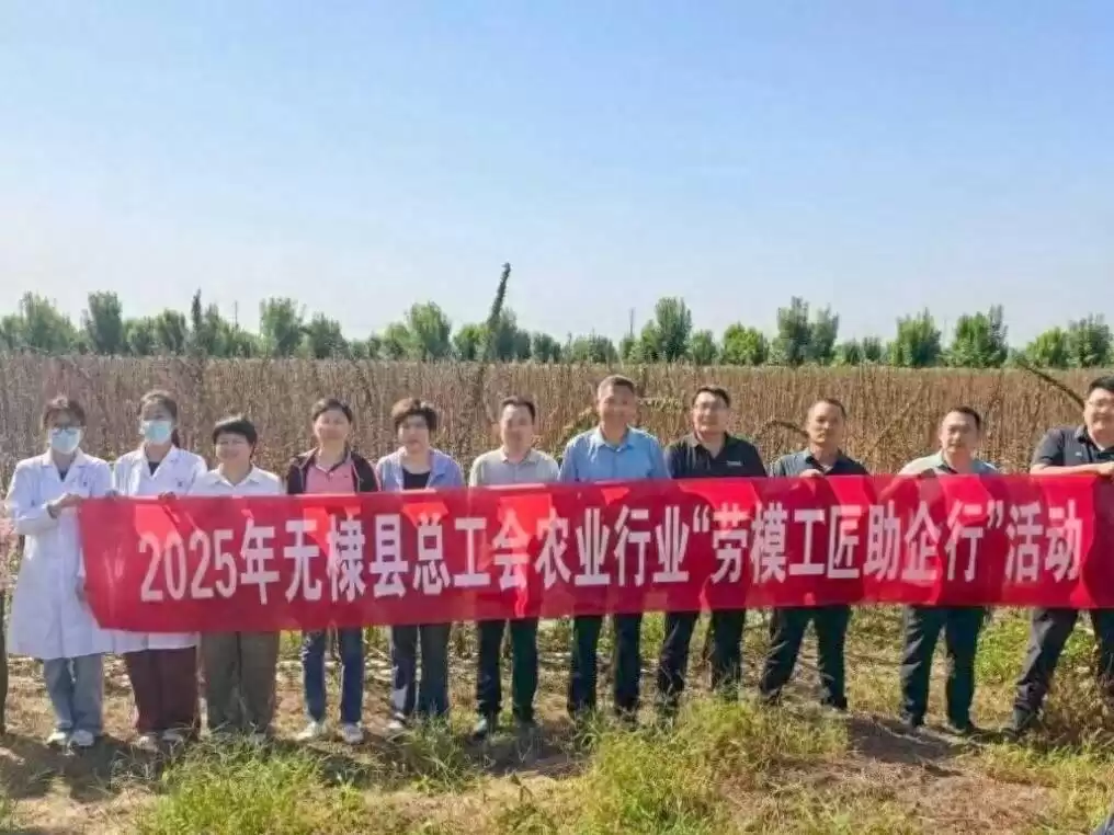田间“点对点”精准出击：无棣传技破解产业难题！