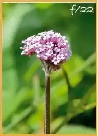 国庆摄影速成指南:4个手机技巧让你随手拍出朋友圈爆款!-第2张图片-正海烽科技 - 领先的只能推广行业,智能制造解决方案提供商 国庆摄影速成指南:4个手机技巧让你随手拍出朋友圈爆款!-第2张图片-正海烽科技 - 领先的只能推广行业,智能制造解决方案提供商