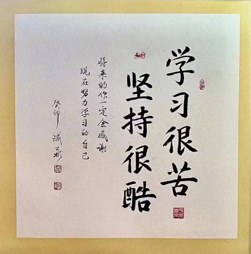 2026中专生逆袭IT圈！8大零基础入门证书，最低门槛曝光