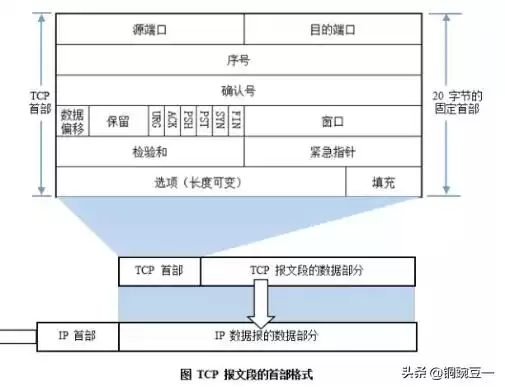零基础通关网工：13个核心协议精讲，一张图看懂网络架构