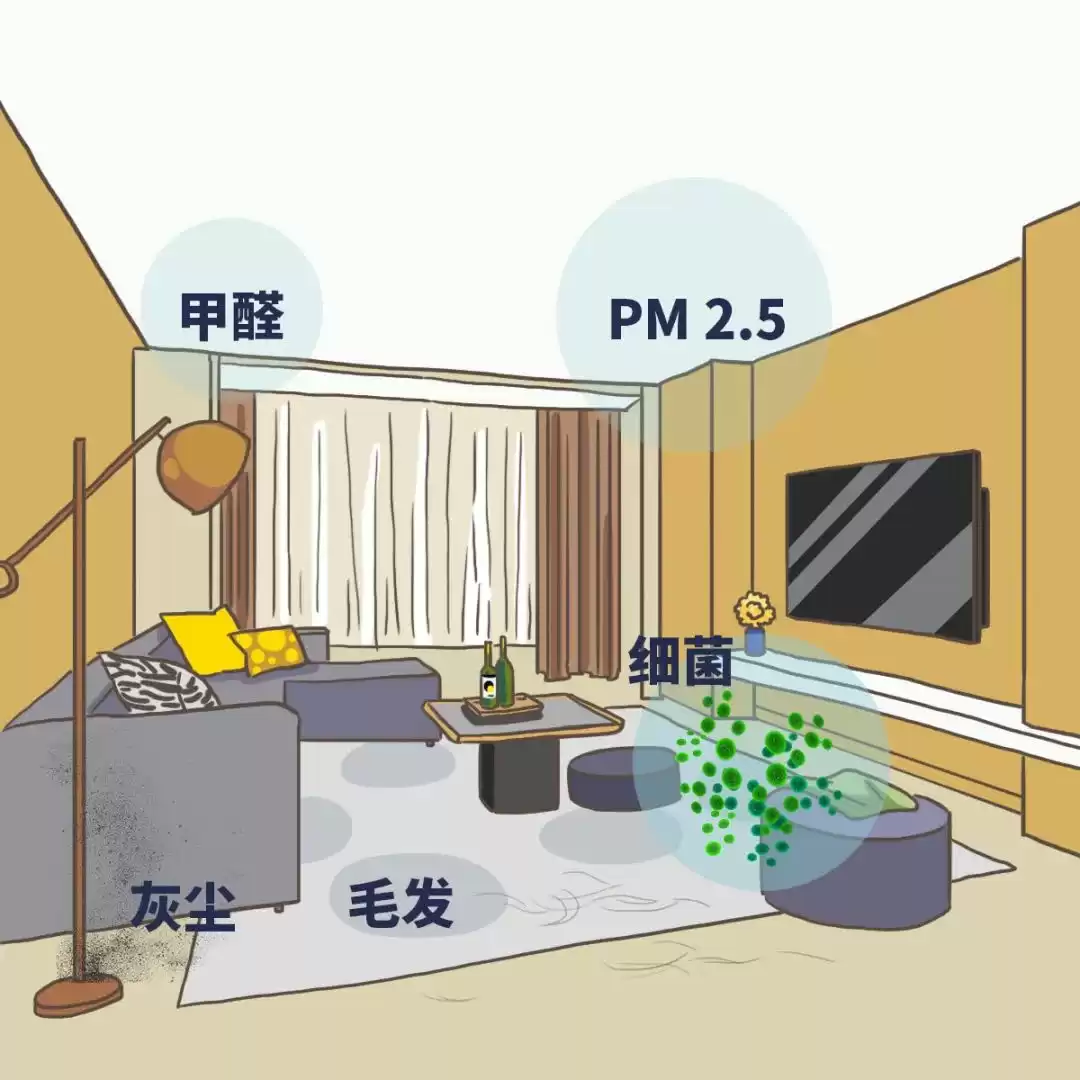 居家空气净化终极战：三招歼灭隐形污染，守护每一口呼吸！
