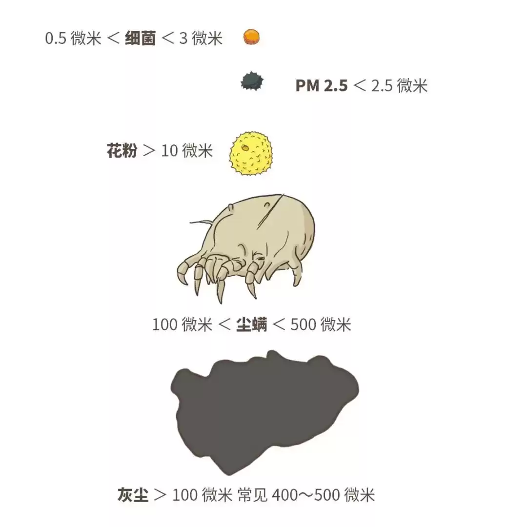居家空气净化终极战：三招歼灭隐形污染，守护每一口呼吸！