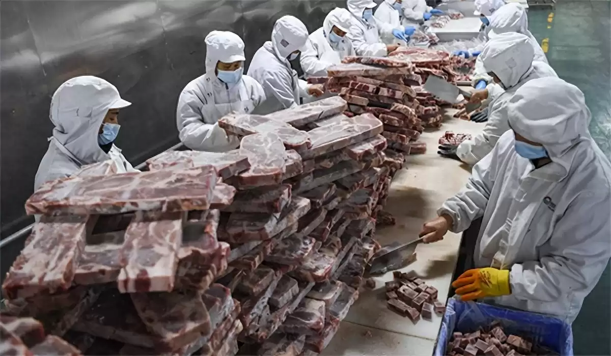 液氮隧道速冻:瞬间锁鲜,引爆肉类“细胞级”保鲜革命! 液氮隧道速冻:瞬间锁鲜,引爆肉类“细胞级”保鲜革命!