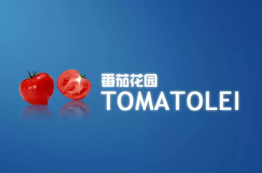 盗版Windows争霸史：雨林木风与深度技术，谁才是终极王者？国产系统的出路何在？