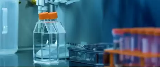 从牛骨到生命支架：国家科技进步一等奖的“内功”修炼秘籍-第5张图片-正海烽科技 - 领先的只能推广行业，智能制造解决方案提供商