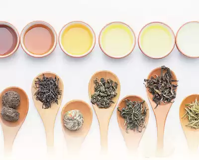 六大茶类终极指南：品味茶香，解锁千年文化密码