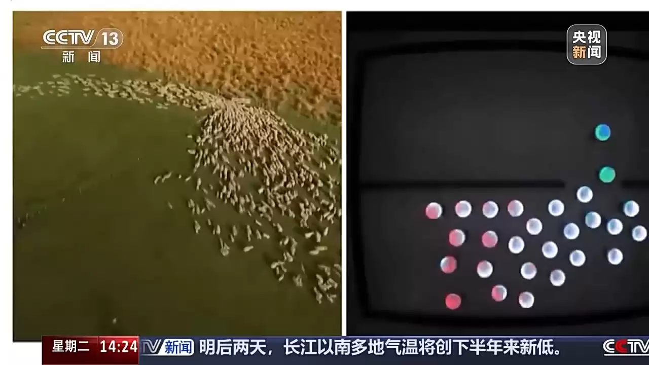 无人机革命：从空中精准递物到集群智能，引爆具身智能未来！