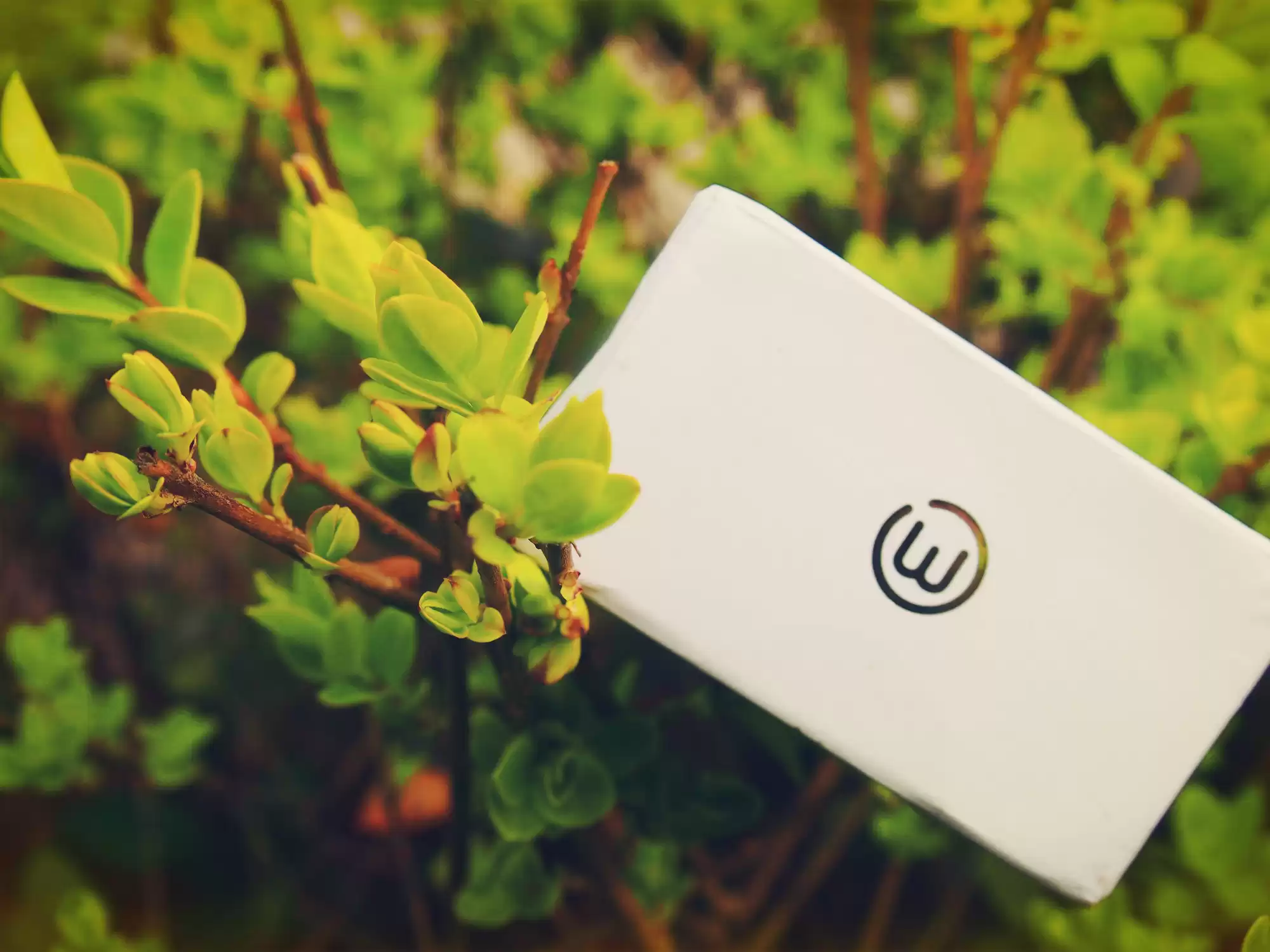 智游古城，健康随行：埃微I7智能手环平遥深度体验全记录