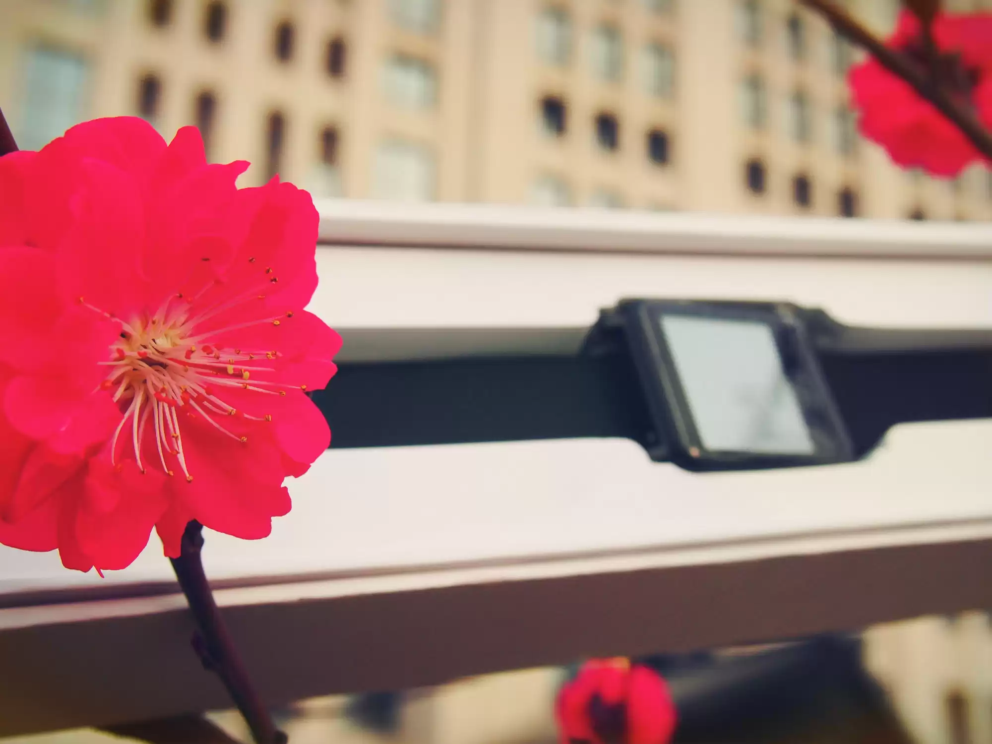 智游古城，健康随行：埃微I7智能手环平遥深度体验全记录