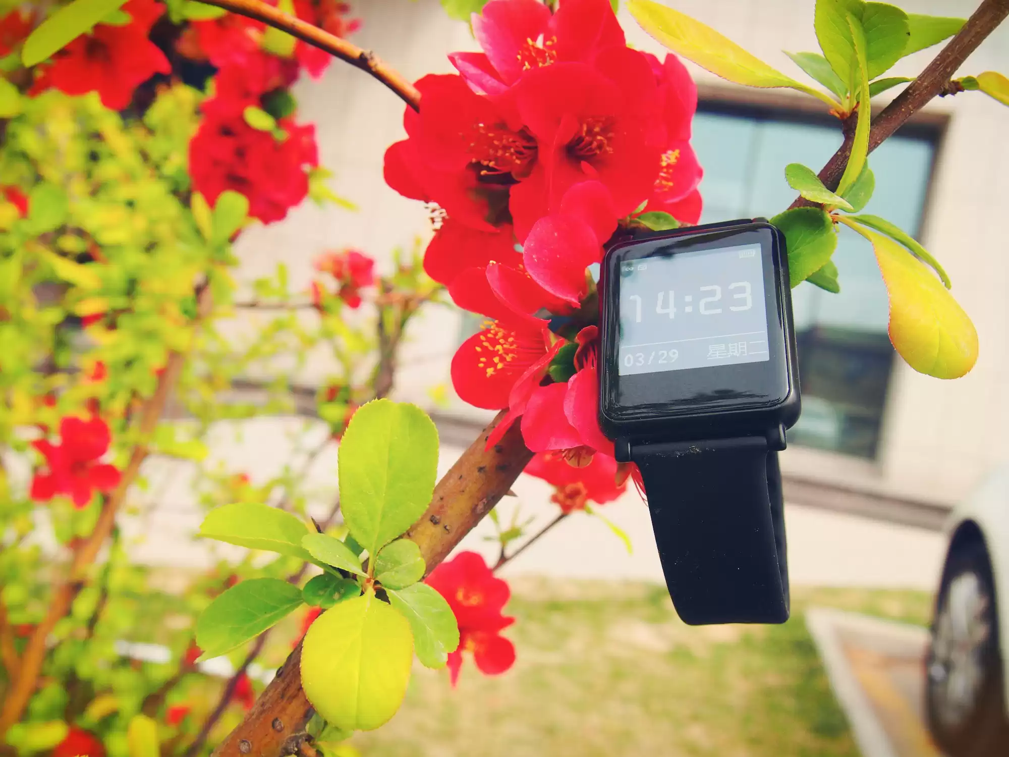 智游古城，健康随行：埃微I7智能手环平遥深度体验全记录