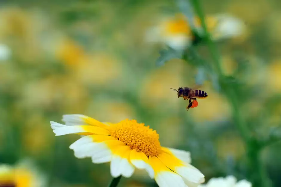 AI终极解密:从技术定义到深度思考,一文洞悉人工智能核心-第4张图片-正海烽科技 - 领先的只能推广行业,智能制造解决方案提供商 AI终极解密:从技术定义到深度思考,一文洞悉人工智能核心-第4张图片-正海烽科技 - 领先的只能推广行业,智能制造解决方案提供商