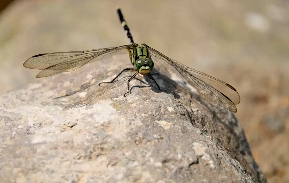 AI终极解密:从技术定义到深度思考,一文洞悉人工智能核心-第6张图片-正海烽科技 - 领先的只能推广行业,智能制造解决方案提供商 AI终极解密:从技术定义到深度思考,一文洞悉人工智能核心-第6张图片-正海烽科技 - 领先的只能推广行业,智能制造解决方案提供商