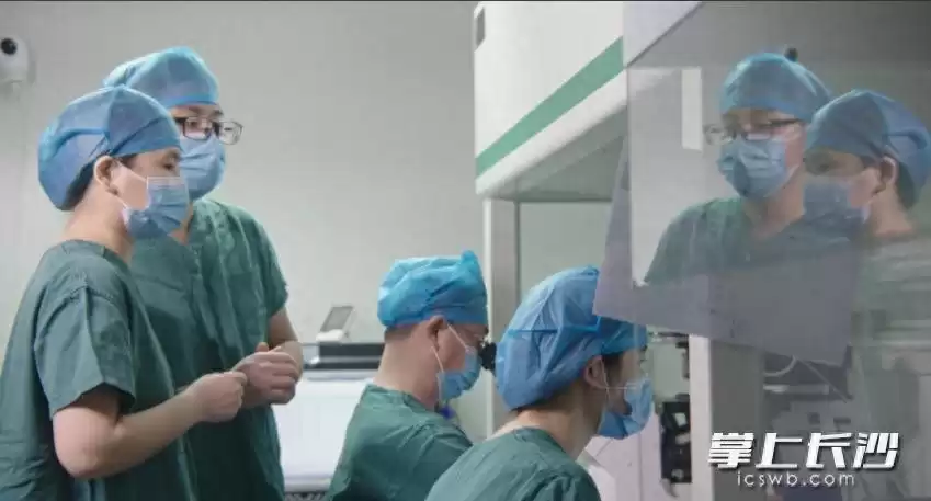 生命奇迹！十年冷冻胚胎成功唤醒，宝宝带着“时光胶囊”降临！