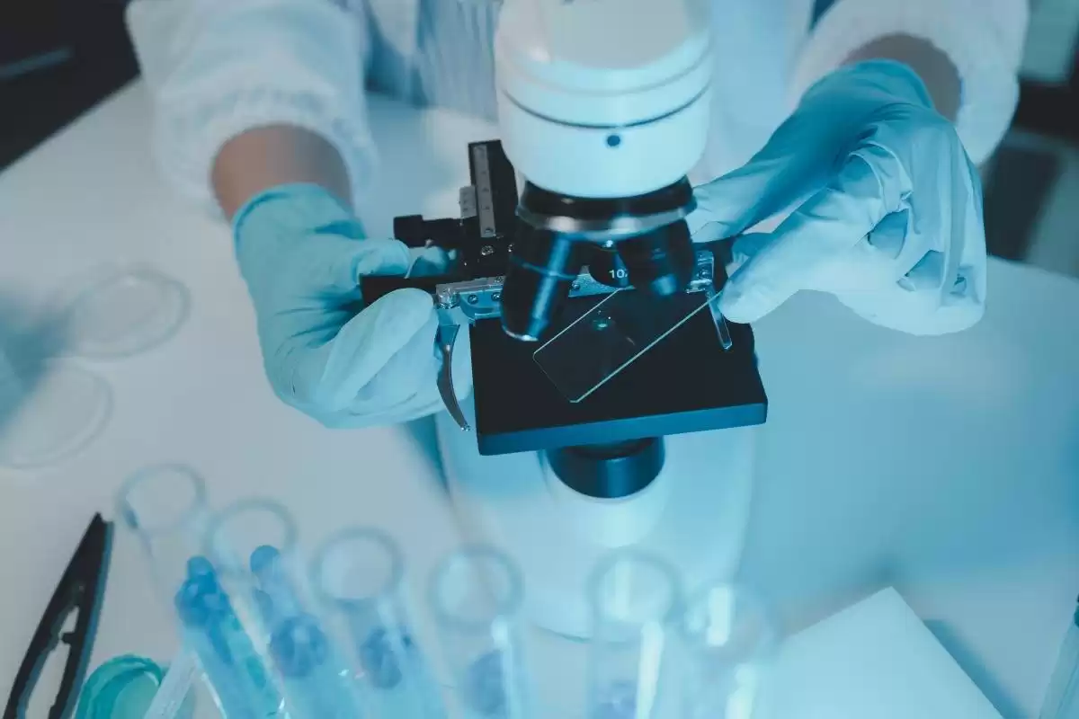 解锁认定密码：服务创新如何让高新技术企业脱颖而出？