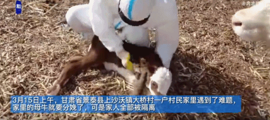 惊爆！防疫一线“大神”频现，隐藏技能比专业更炫酷！