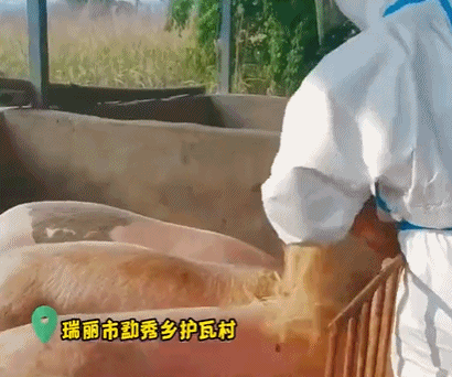 惊爆！防疫一线“大神”频现，隐藏技能比专业更炫酷！