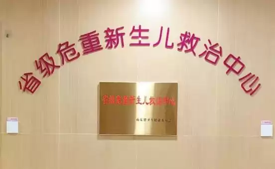 550克生命奇迹：硬核技术与温暖守护的巅峰交响