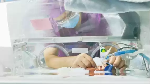 550克生命奇迹：硬核技术与温暖守护的巅峰交响