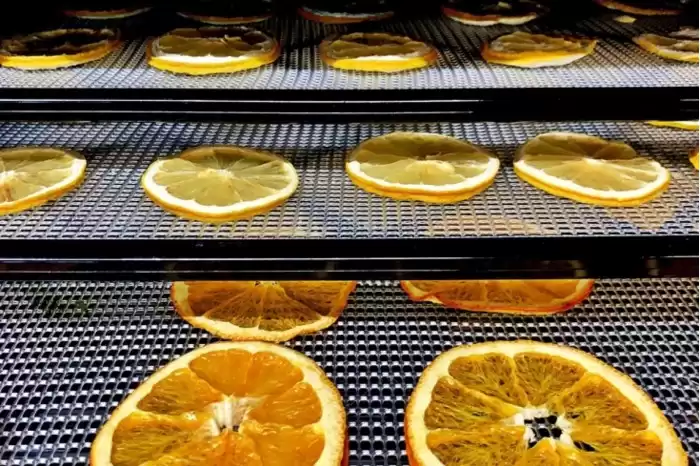 颠覆性创新！离子风技术将彻底改写水果干燥行业格局