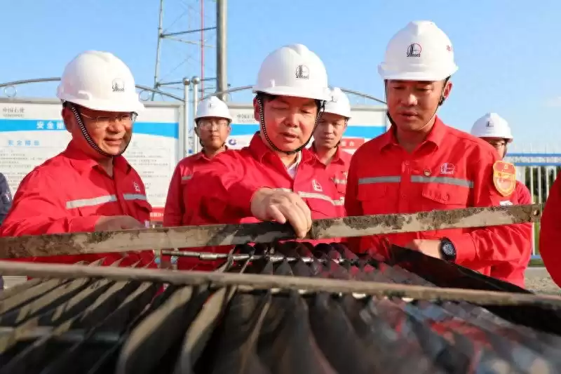 突破地层极限！中国石化首席技术大师郭彤楼荣膺“杰出工程师”桂冠