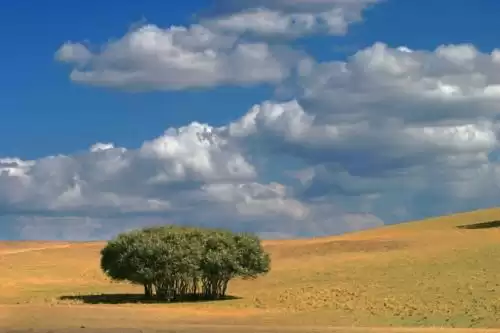 PS大神之路：5步引爆你的修图潜能