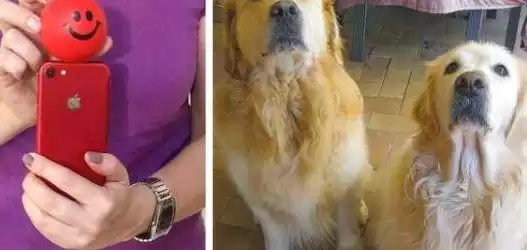 拍照秘籍大公开！16个技巧让你轻松称霸朋友圈