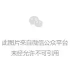 CPU终极解码：用厨房故事讲透芯片，小白也能秒变专家！