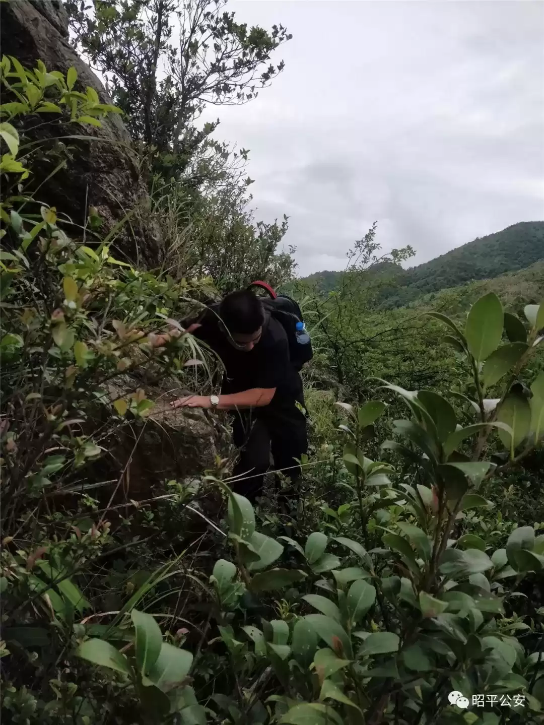 追光者：90后刑事技术员，用无畏和智慧照亮罪案现场！