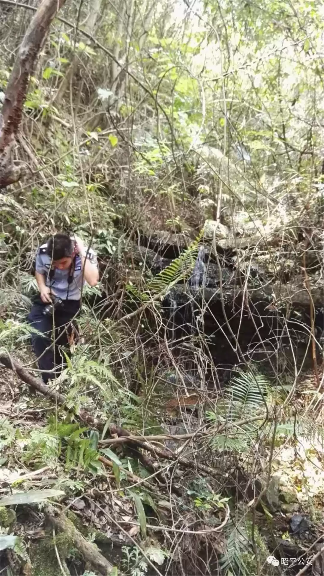 追光者：90后刑事技术员，用无畏和智慧照亮罪案现场！