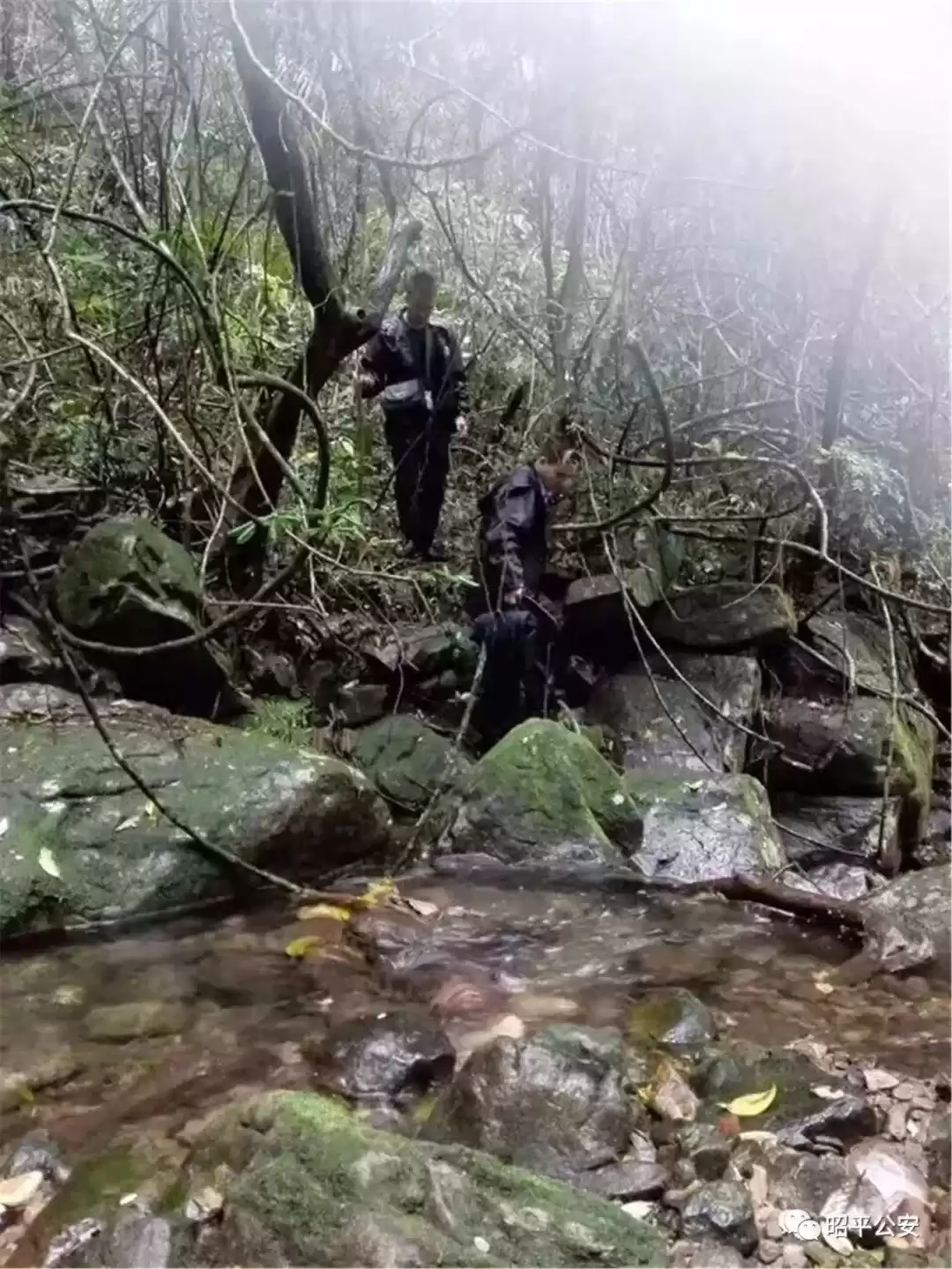 追光者：90后刑事技术员，用无畏和智慧照亮罪案现场！