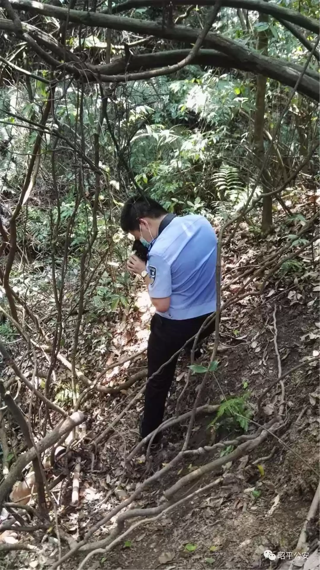 追光者：90后刑事技术员，用无畏和智慧照亮罪案现场！