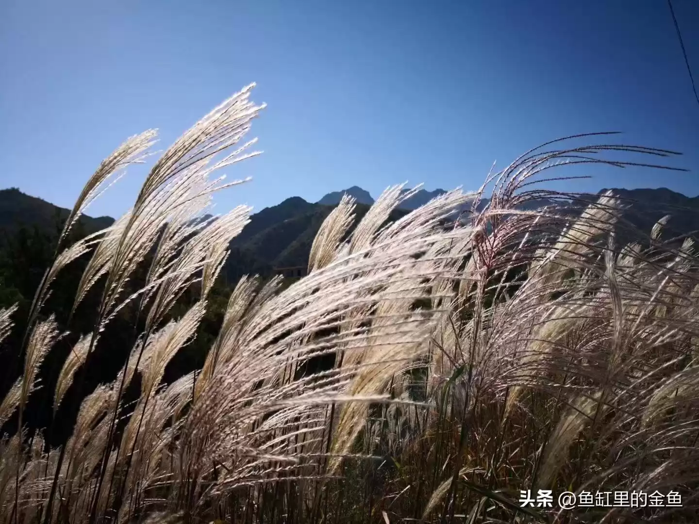 《突围》深度拆解：技术序列与行政序列的生死博弈，你的公司站在哪边？