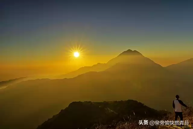 颠覆性创新！苹果“鲶鱼效应”引爆八大技术革命，重塑手机行业二十年