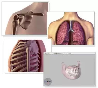 突破维度限制：3D技术如何引爆工业、医疗与虚拟现实革命？
